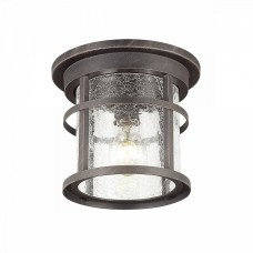 Уличный потолочный светильник ODEON VIRTA 4044/1C