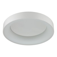 Светильник потолочный Odeon SOLE 4062/40CL