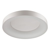 Светильник потолочный Odeon SOLE 4062/80CL