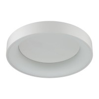 Светильник потолочный Odeon SOLE 4066/40CL