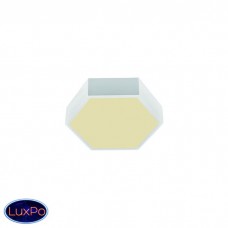 Светильник потолочный светодиодный Light design 44256