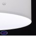 Светильник подвесной MW-Light Дафна 453011003