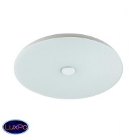 Потолочный светильник Sonex ROKI muzcolor 4629/CL
