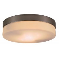 Настенно-потолочный светильник Globo Opal 48402