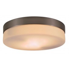 Настенно-потолочный светильник Globo Opal 48402