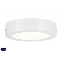 Светодиодный настенно-потолочный накладной светильник BLUETOOTH PAULMANN NOX 50008