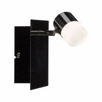 Светильник настенный Paulmann ZigBee 50098