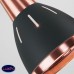 Светильник подвесной Eurosvet Nort 50173/1 черный