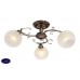 Потолочная люстра Silver Light Orient 502.53.3
