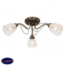 Потолочная люстра Silver Light Azalea 504.53.3
