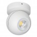 Накладной светильник Lightstar GLobo 51006