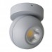 Накладной светильник Lightstar GLobo 51009