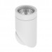 Спот Lightstar Illumo F 051016