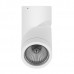 Спот Lightstar Illumo F 051016