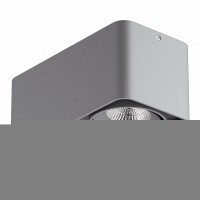 Светильник накладной светодиодный Lightstar Monocco 052129