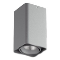 Светильник накладной светодиодный Lightstar Monocco 052139