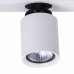 Спот MW-Light Астор 545020502