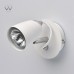 Спот MW-Light Астор 545021301