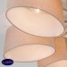 Потолочная люстра Eurosvet Elipse 60083/8 хром