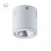 Светильник накладной поворотный светодиодный MW-Light Круз 637014101