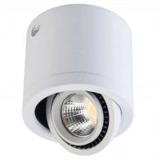 Точечный светильник Regenbogen LIFE 637017101 Круз Точечный светильник Regenbogen LIFE 637017101 Круз