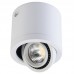 Точечный светильник Regenbogen LIFE 637017101 Круз Точечный светильник Regenbogen LIFE 637017101 Круз