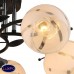 Люстра потолочная Wedo Light БЕНЕДИКТА 65956.01.13.05