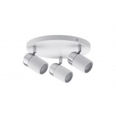 Спот PAULMANN ZYLI IP44 66712