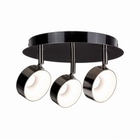 Спот Paulmann Funnel 66730