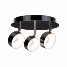 Спот Paulmann Funnel 66730