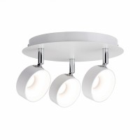 Спот Paulmann Funnel 66734