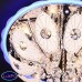 Люстра потолочная Wedo Light КАРЛОТ 68285.01.03.06