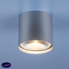 Накладной точечный светильник Elektrostandard 6876 SL серебро Nowodvorski a036694