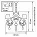 Подвесная люстра Lightstar Ricerco 693062