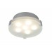 Светильник настенно-потолочный Paulmann Xeta 70279