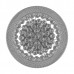 Люстра потолочная Lightstar Monile 704094