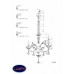 Подвесная люстра Lightstar Boemia 717062C