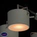 Люстра потолочная MW-Light САЙРУС 721010105