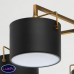 Люстра потолочная MW-Light САЙРУС 721010205