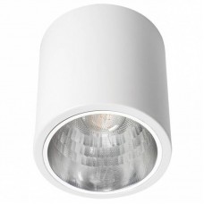 Точечный светильник KANLUX 7210 (DLP-60-W) NIKOR
