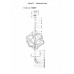 Люстра подвесная Lightstar GABBIA 732267