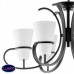Люстра подвесная Lightstar FIACOLLA  733067