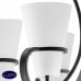 Люстра подвесная Lightstar FIACOLLA  733067