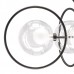 Люстра подвесная Lightstar Alfa 745077
