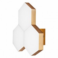 Светильник настенный светодиодный Lightstar FAVO 750631