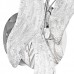 Бра Lightstar Vetro 793634 Бра Lightstar Vetro 793634