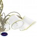 Подвесная люстра Lightstar Esedra 796181
