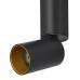 Светильник накладной Lumien Hall ТОРИН 8001/1CM-BK-GD