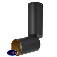 Светильник накладной Lumien Hall ТОРИН 8001/1CS-BK-GD