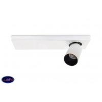 Светильник настенно-потолочный Lumien Hall КАЙЛ 8002/1W-WT-BK